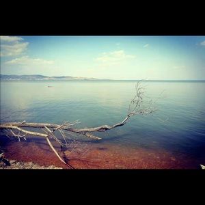 Meet your Posher, Meng